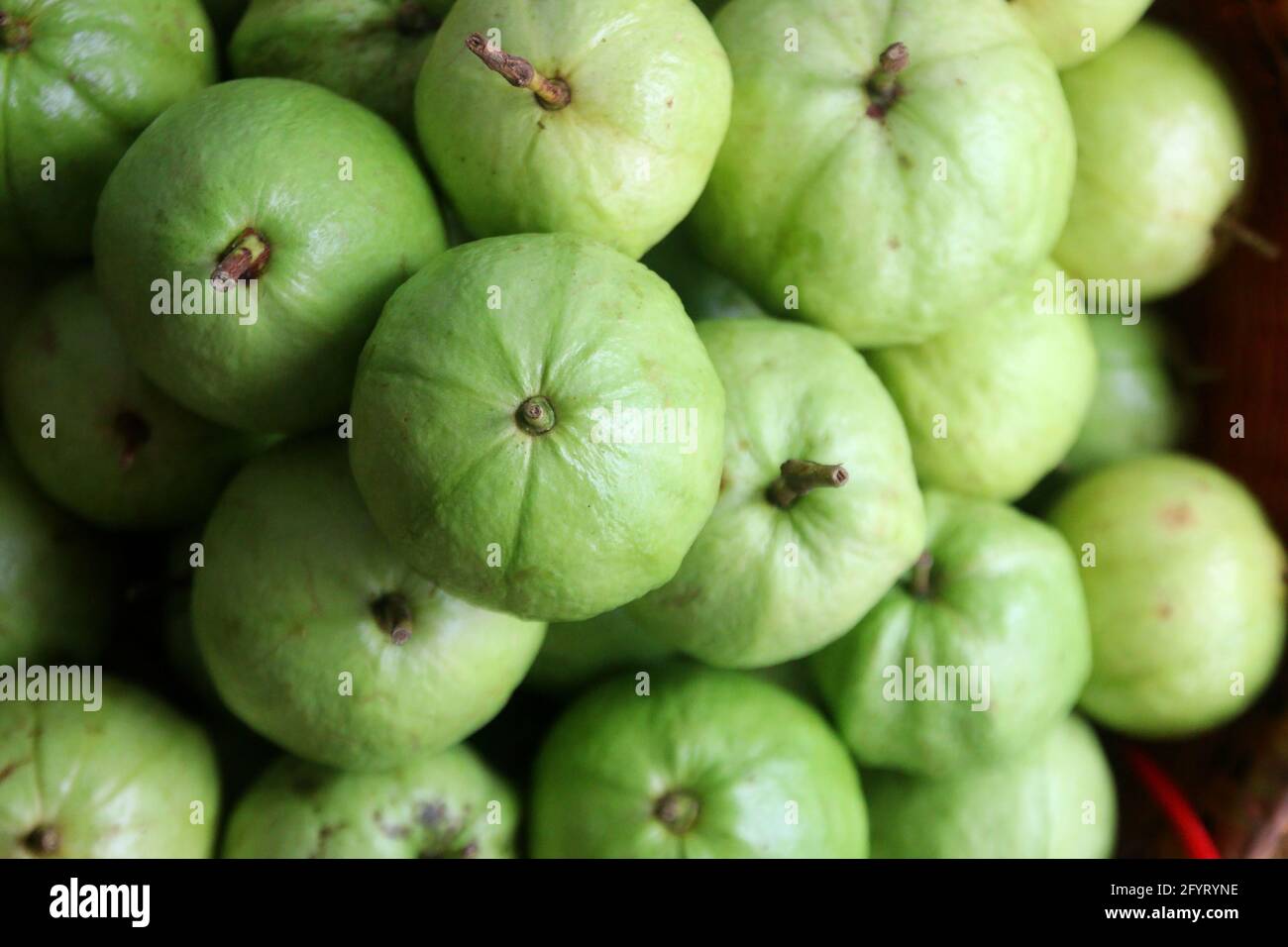 Stapel von Guava Obst auf dem Markt Tablett Stockfoto