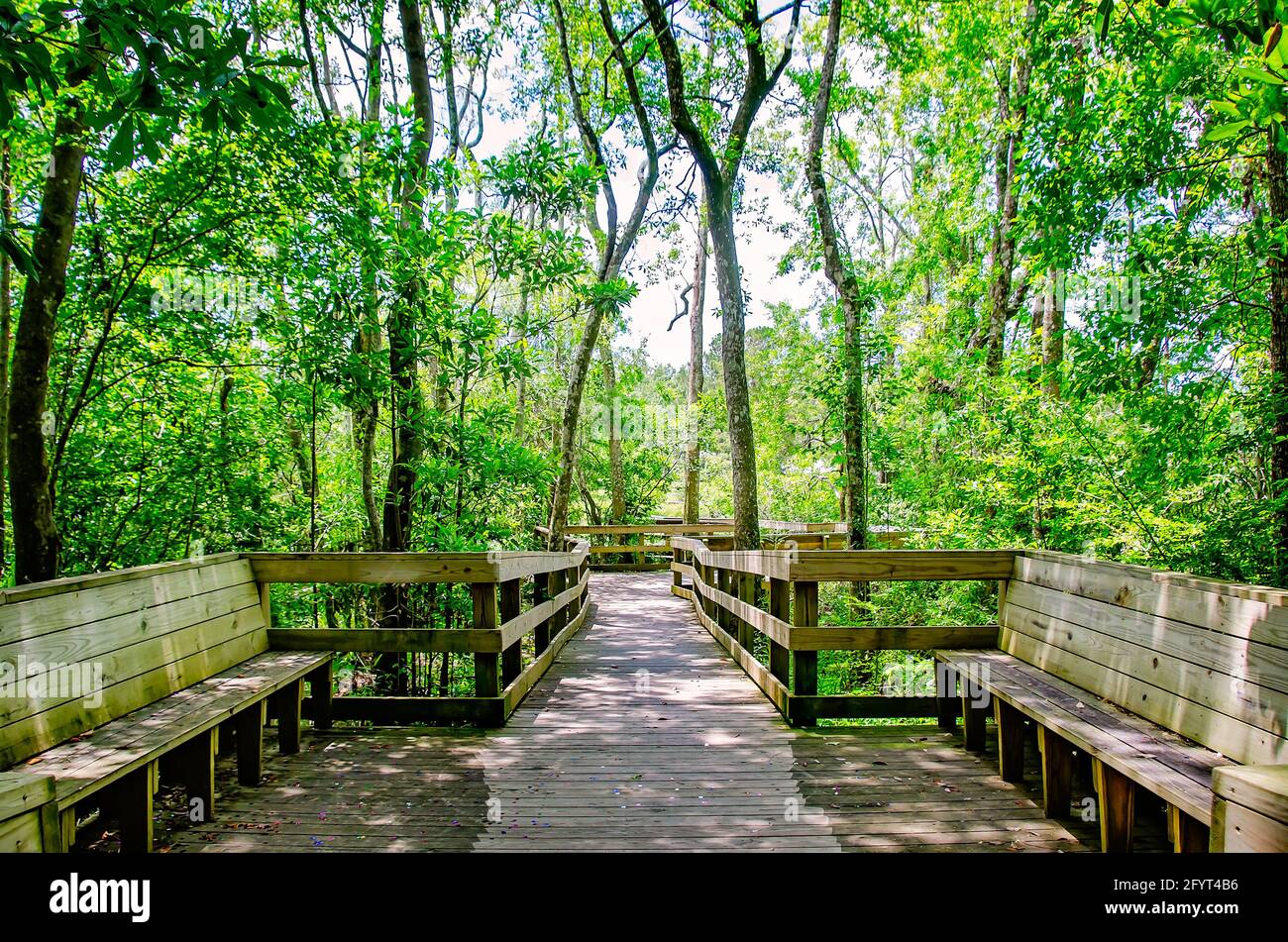 Die Magnolia Landing Promenade umfasst Rastplätze mit Bänken, 27. Mai 2021, in Magnolia Springs, Alabama. Stockfoto