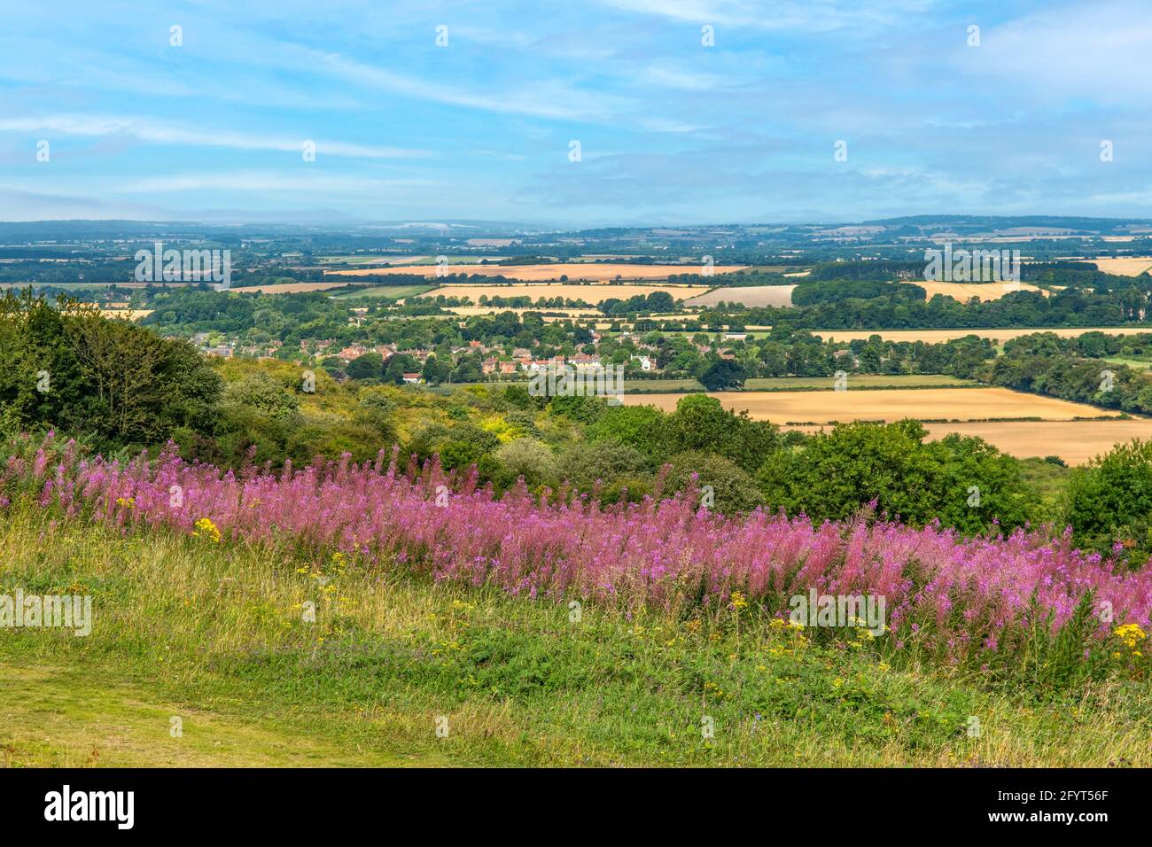 Watlington Hill, Chilterns, Oxfordshire, England Stockfoto