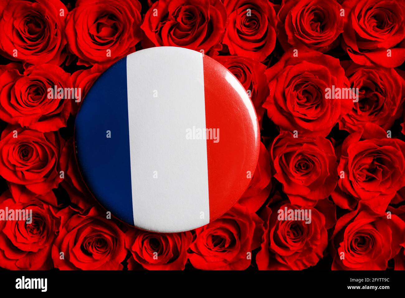 Die Flagge Frankreichs ist auf einem Knopf-Abzeichen auf rotem rosa Hintergrund gedruckt. Grafikressourcen Stockfoto