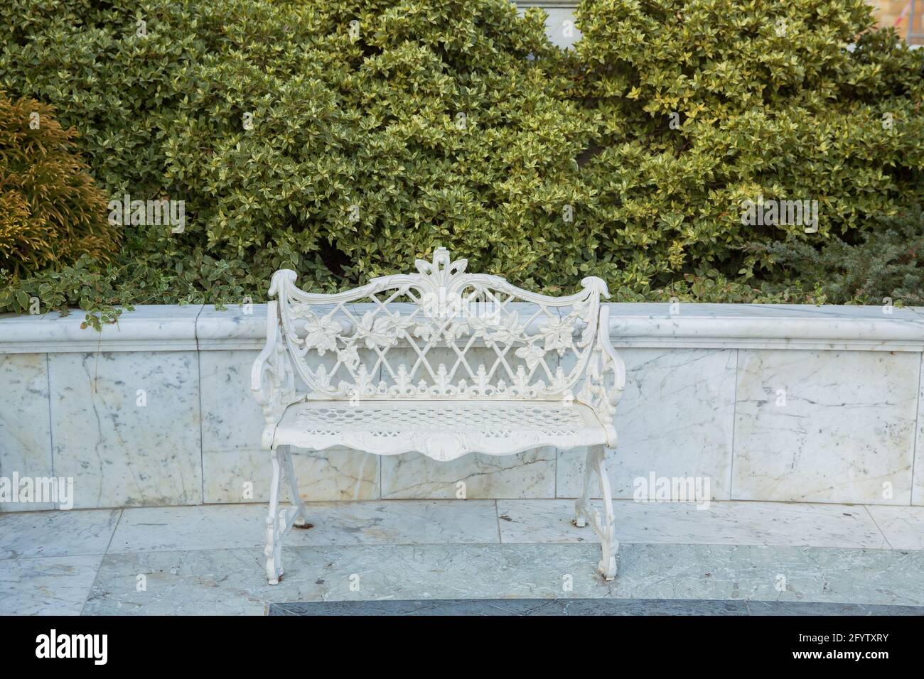 Eine weiße Metallbank, die vor einer grünen Hecke platziert ist. Eine  klassische, weiße gusseiserne Zweisitzer-Bank mit Eichenlaub-Design und  attraktivem Scrol Stockfotografie - Alamy