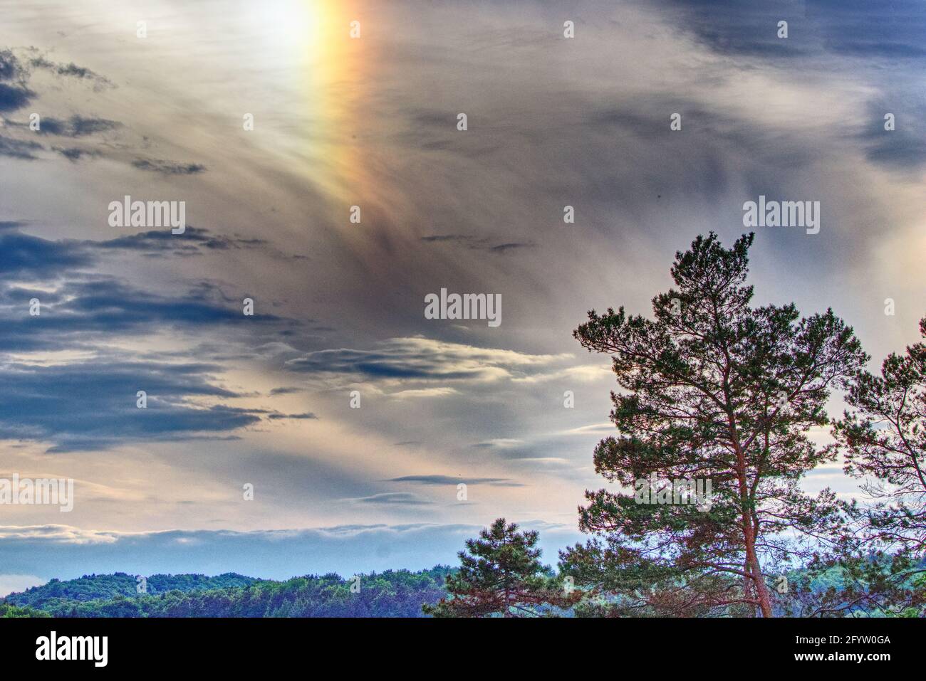 Schöner Himmel über dem Wald Stockfoto