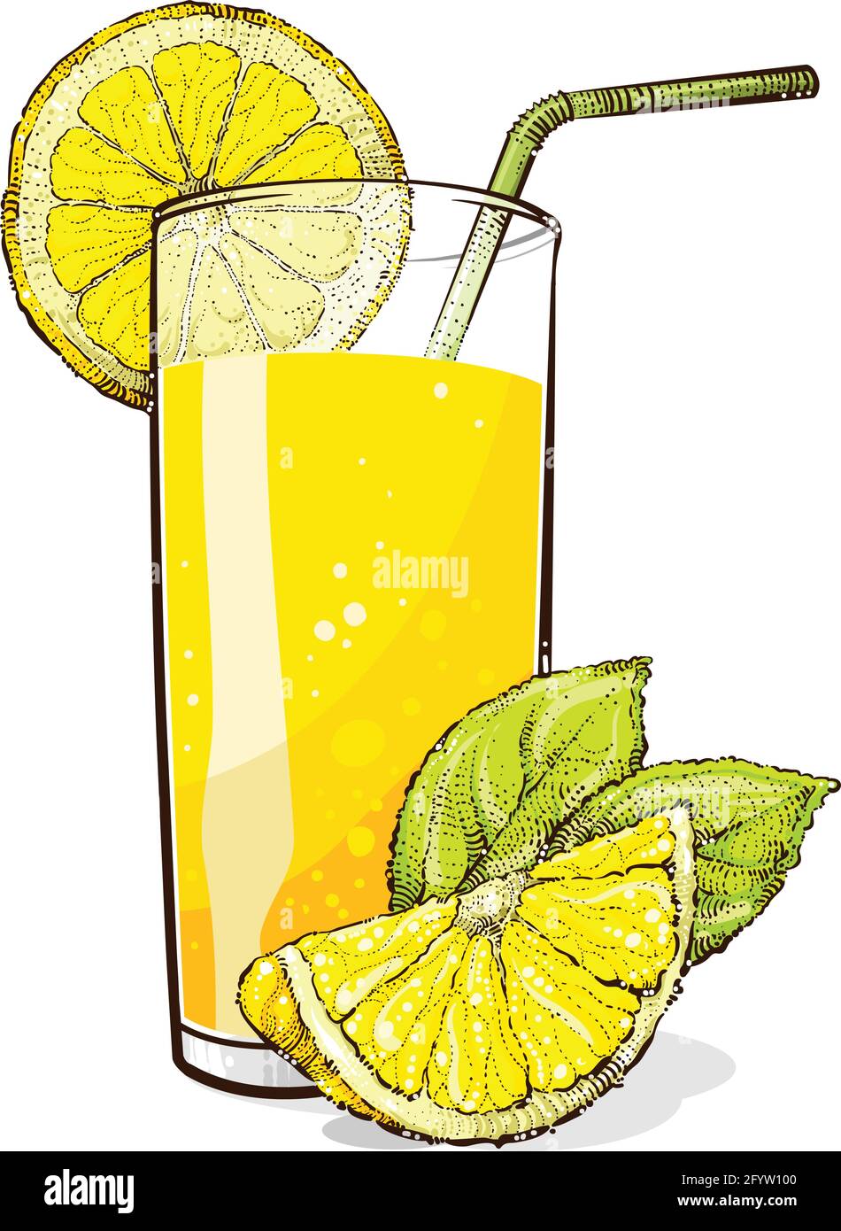 Limonade mit Zitronenscheiben und Zitronenblatt, Vektorgrafik Stock Vektor