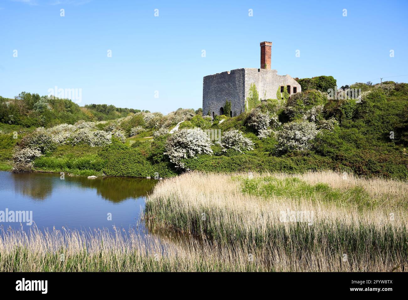 Der alte Kalk arbeitet im Aberthaw Nature Reserve, Wale of Glamorgan, South Wales Stockfoto