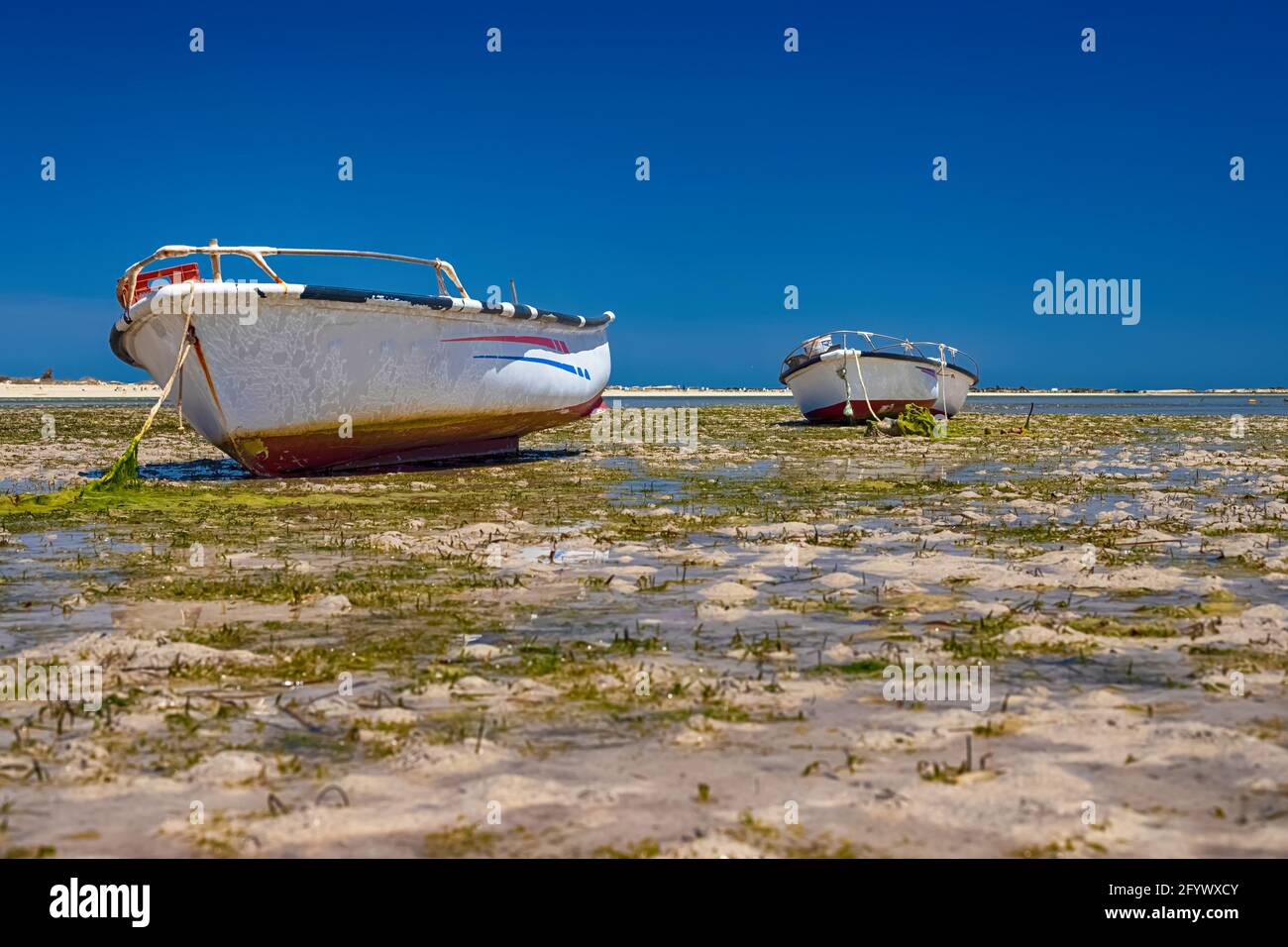 Schöne Aussicht auf das Boot in der Bucht des Mittelmeers bei Ebbe auf der Insel Djerba, Tunesien Stockfoto