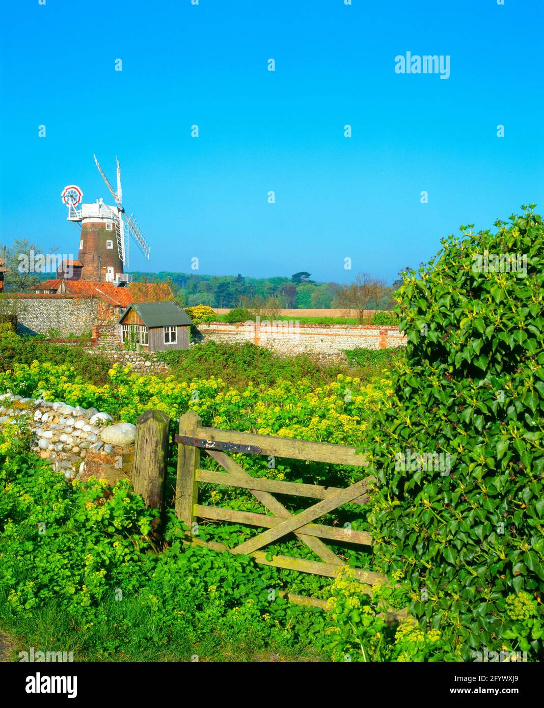 UK, England, Norfolk, Cley-next-the-Sea Windmühle, mit kleinem Betrieb, Stockfoto