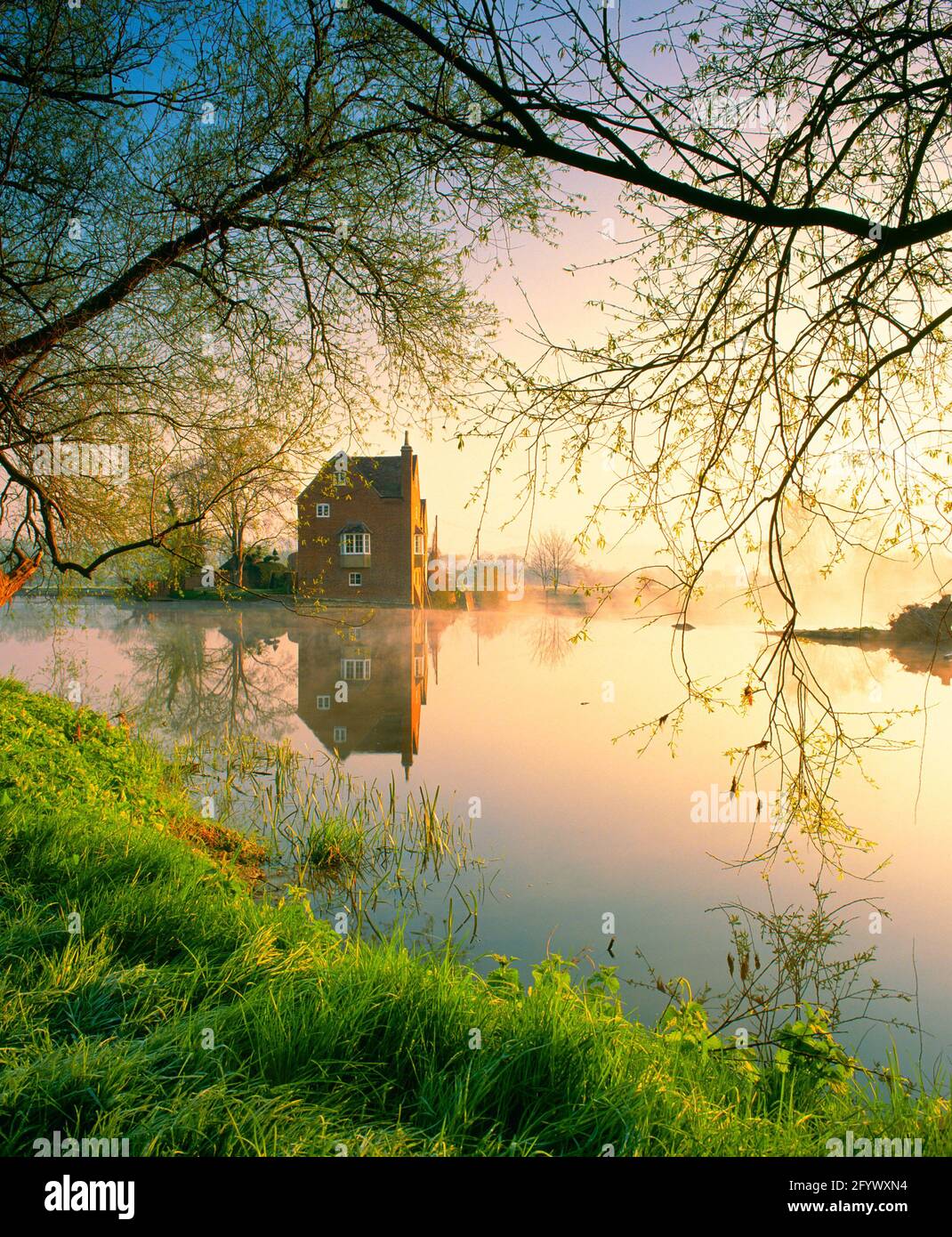 Großbritannien, England, Hereford & Worcester, Fladbury Wehr, Dawn, Feder, Stockfoto