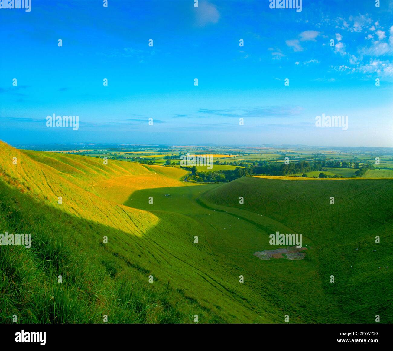 Großbritannien, England, Oxfordshire, Uffington, The Manger, Sommeranbruch, Stockfoto