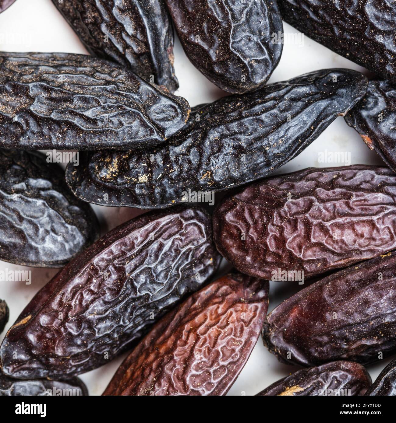 Quadratische Lebensmittel Hintergrund - getrocknete Tonkabohnen aus  nächster Nähe Stockfotografie - Alamy