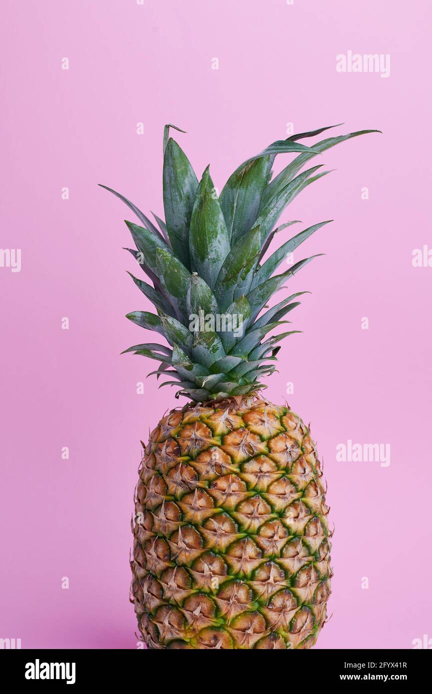 Farbfotografie einer Ananas vor rosa Hintergrund Stockfoto