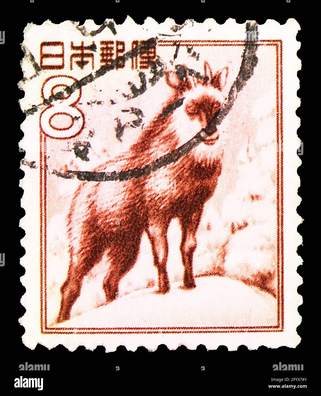 MOSKAU, RUSSLAND - 27. SEPTEMBER 2019: In Japan gedruckte Briefmarke zeigt japanischen Serow (Capricornis crispus), Fauna, Flora und Nationalschätze (1 Stockfoto