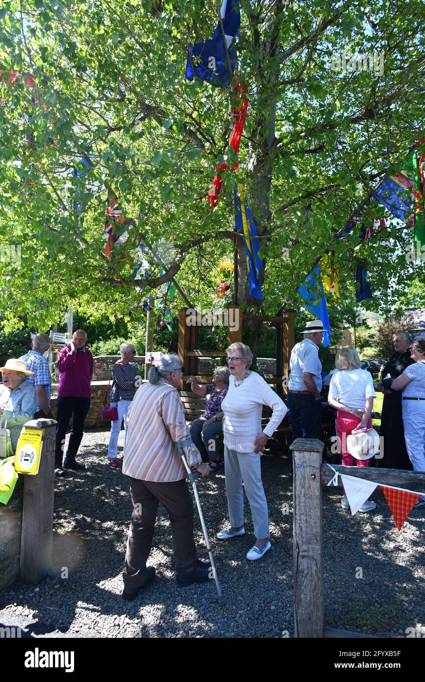 Aston on Clun, Shropshire, Großbritannien. Mai 2021. Das Auswechseln der Flaggen im südlichen Shropshire-Dorf Aston auf Clun als Teil des alten Pagan-Rituals „Arbor Day“, bei dem der Schwarze Pappel im Zentrum des Dorfes angekleidet wurde. Der Baum ist frisch mit Fahnen gekleidet, die dann das ganze Jahr über auf dem Baum bleiben und am letzten Sonntag im Mai versammeln sich die Dorfbewohner um den Baum, um den Arbor Day zu feiern. Einst ein gemeinsames Fest in ganz England, ist nun Aston on Clun das einzige Dorf, das die Tradition immer noch aufrecht erhalten hat. BILD VON DAVE BAGNALL Stockfoto