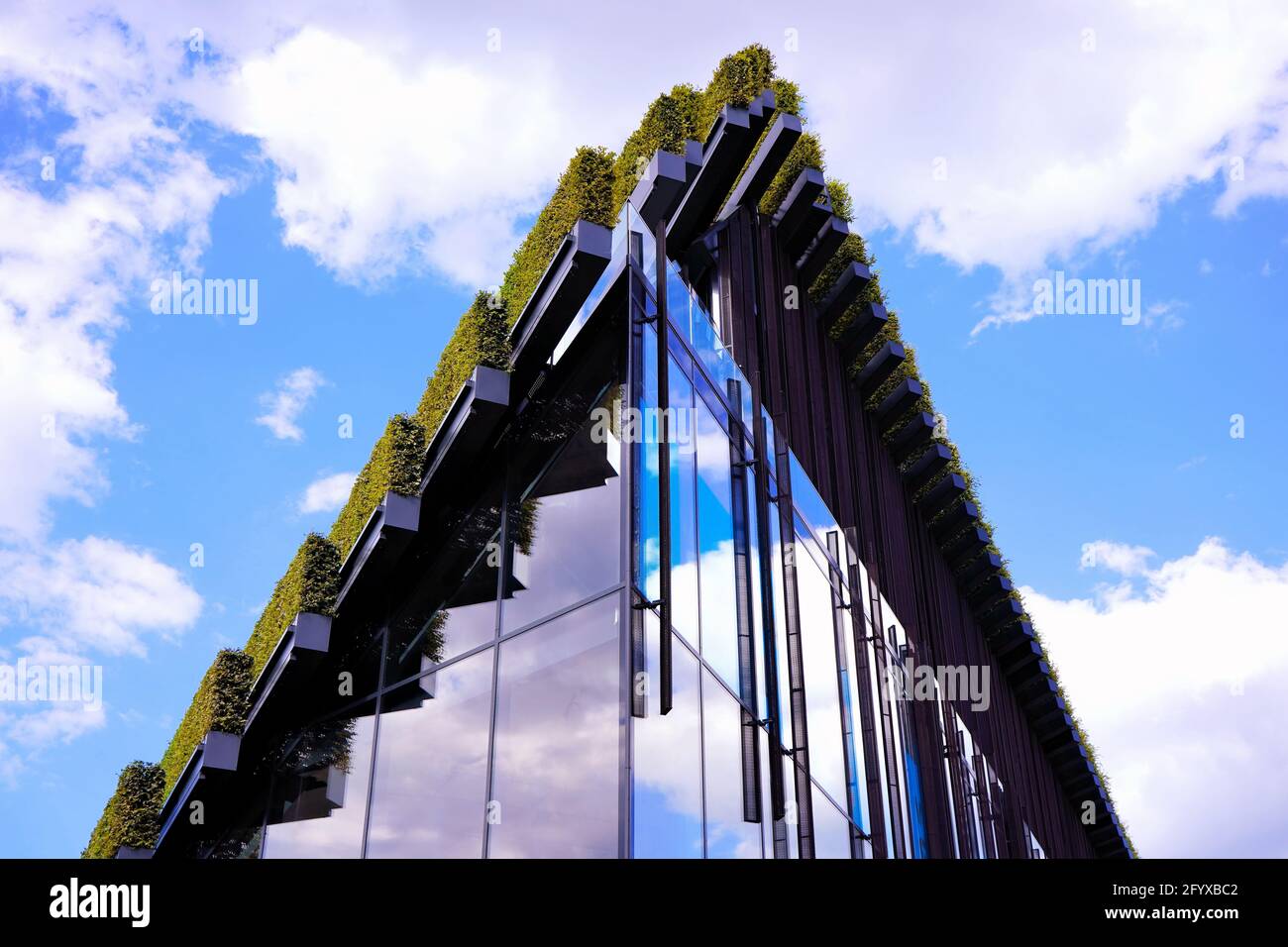 Bauen mit Hainbuche-Hecken auf dem Dach von Ingenhoven Architects - ein Projekt, um die Stadt grüner zu machen. Die Pflanzen dienen als natürliche Klimaanlage. Stockfoto