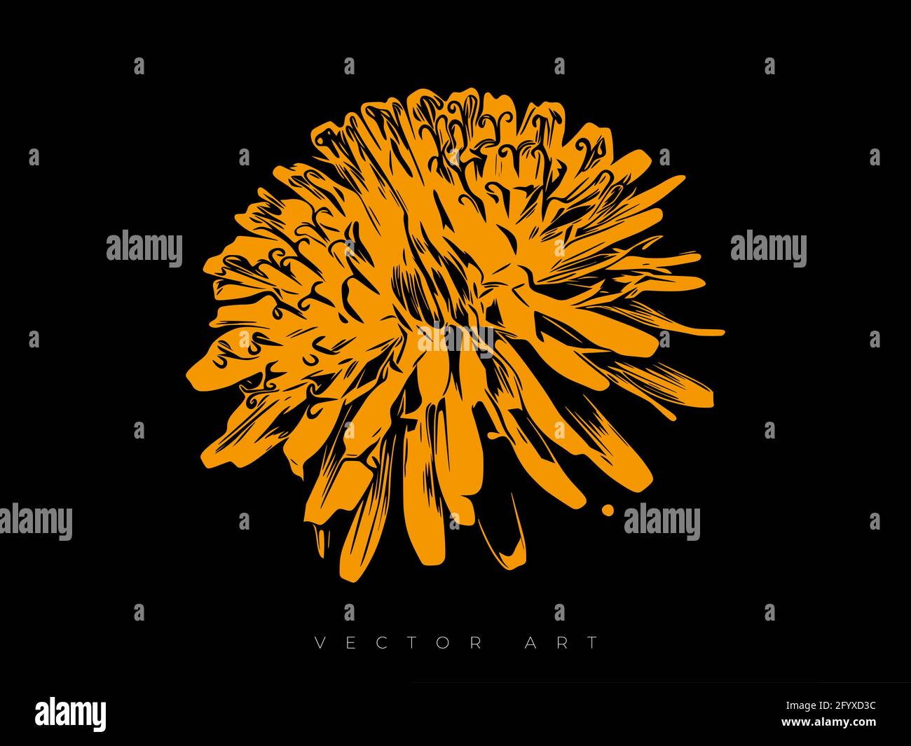 Vektor-Illustration einer auf schwarzem Hintergrund isolierten Eselenblume. Zeitgenössische Wandkunst, Poster- oder Cover-Kunst Stock Vektor