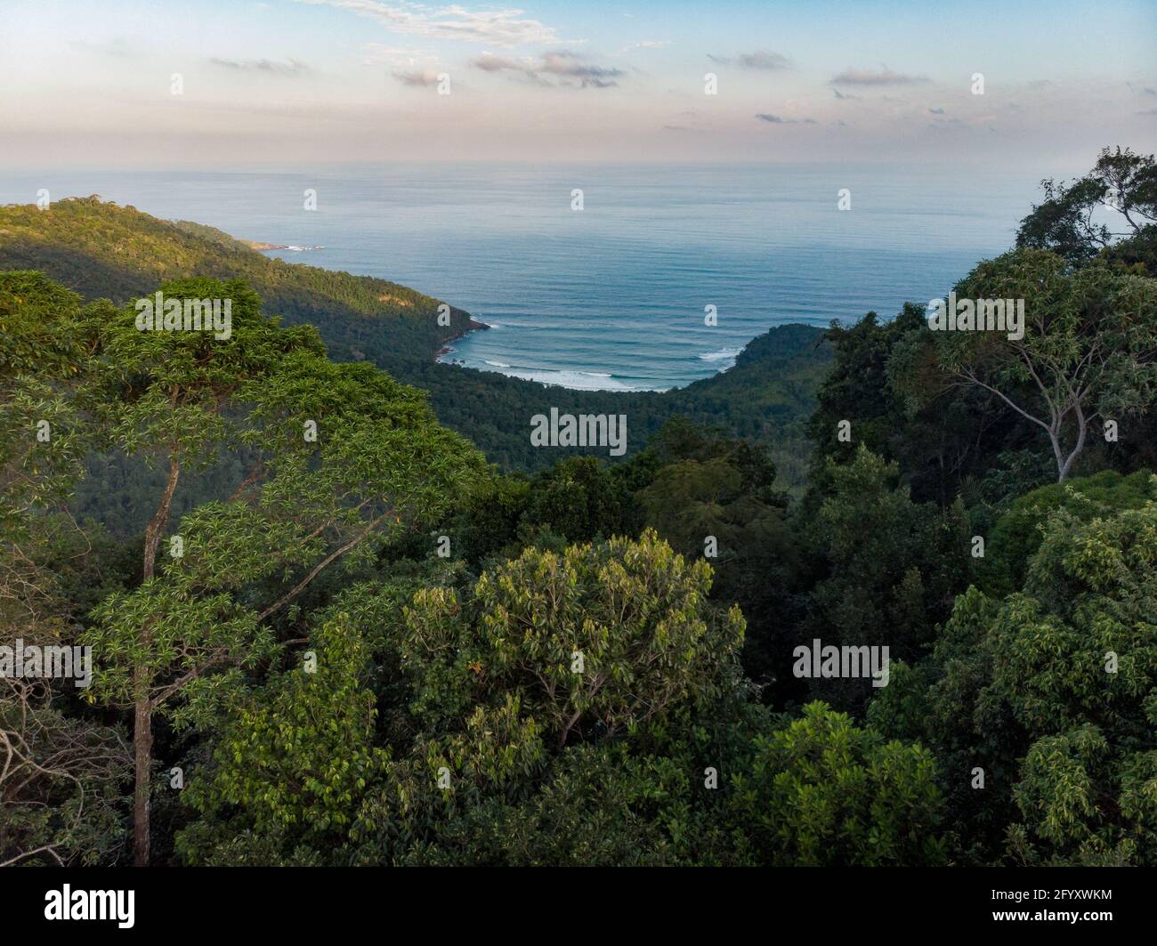 Brava de Trindade Strand durch die Bäume des gesehen Atlantic Rainforest Mountains Stockfoto