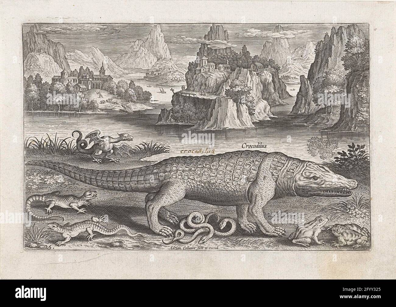 Ein paar Reptilien und Amphibien an einem Ufer; Angeln; PISCIVM VIVAE ICONES. Ein Krokodil, eine Schlange, ein Pfad, ein Frosch, zwei Eidechsen und ein Basilisk krabbeln am Ufer eines Flusses herum. Im Hintergrund der Fluss. Der Druck ist Teil einer Serie von Fischen als Motiv. Stockfoto