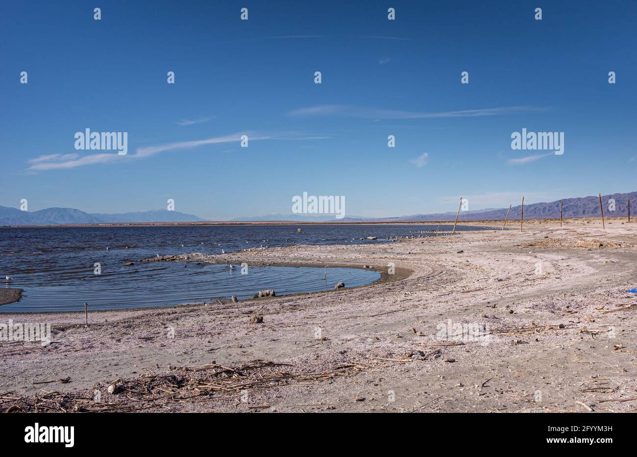 USA, CA, Salton Sea - 28. Dezember 2012: Weiß-graue SE-Küste bei Niland Marina erstreckt sich in einem Bogen unter blauem Himmel. Berge am fernen Horizont. Stockfoto