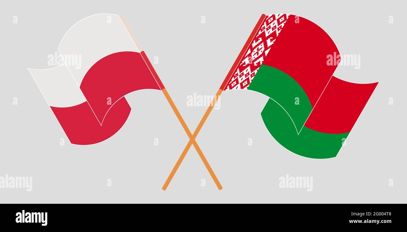 Gekreuzte und winkende Flaggen von Weißrussland und Polen. Vektorgrafik Stock Vektor