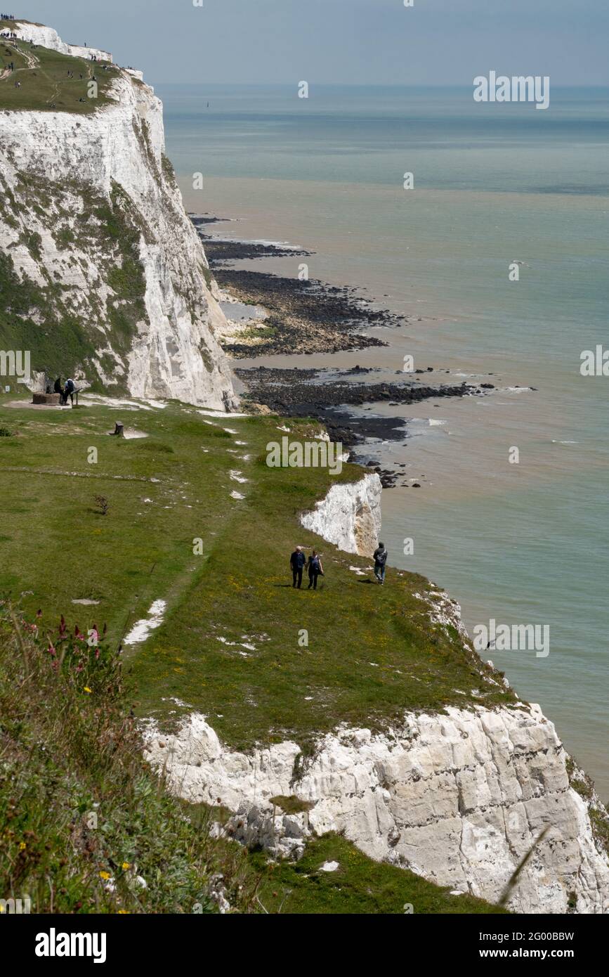 Die White Cliffs of Dover, Teil der North Downs Formation, ist die Region der englischen Küste mit Blick auf die Straße von Dover und Frankreich. Kent, England Stockfoto