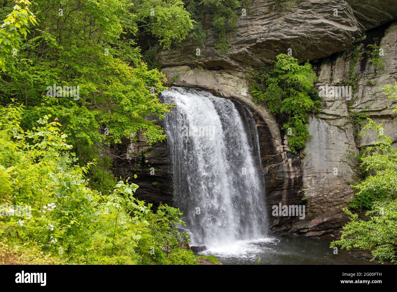 Auf der Suche nach Glas fällt Stockfoto