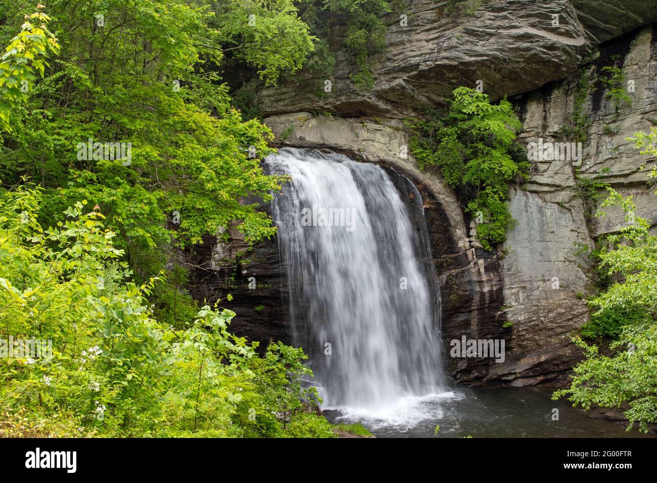 Auf der Suche nach Glas fällt Stockfoto