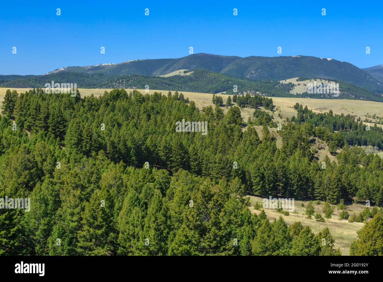 john Long Mountains über den Ausläufern in der Nähe von maxville, montana Stockfoto