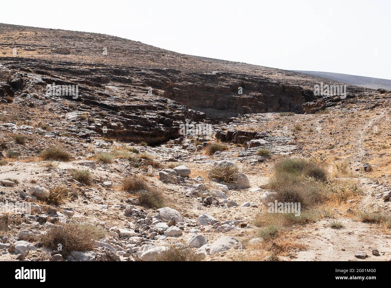 Typische Negev-Wüstenlandschaft südöstlich von Arad in Israel zeigt Eine Schlucht, die aus Furnischichten mit Brocken gebildet wird Kreide im Vordergrund Stockfoto