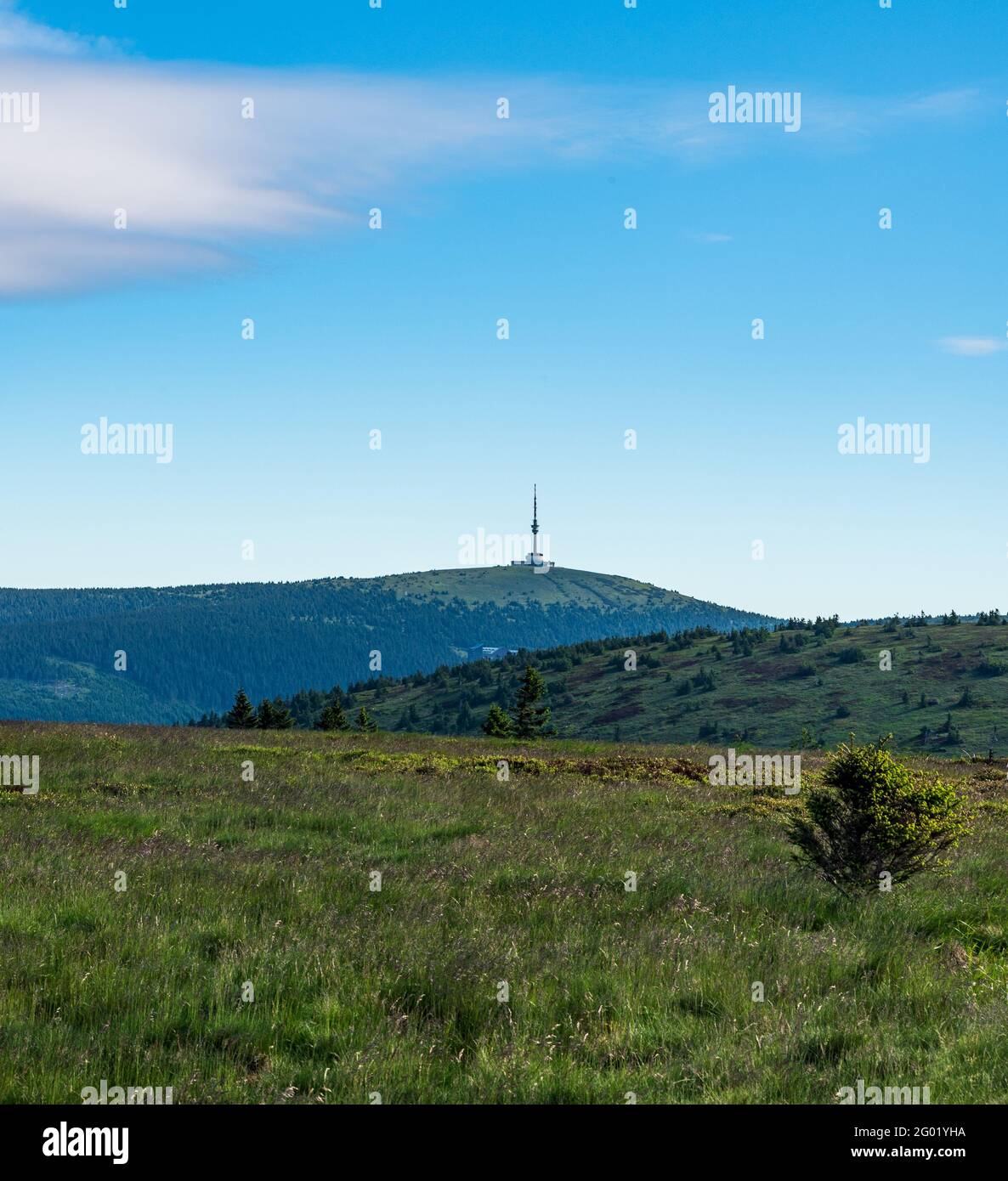 Praded Hügel von Jeleni hrber Gipfel über Jeleni studanka In den Bergen von Jeseniky in der Tschechischen republik Stockfoto