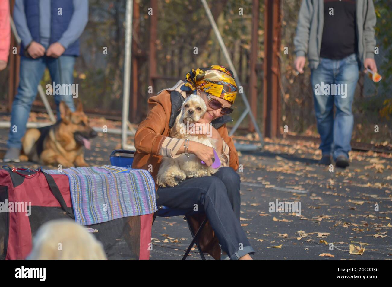 Glückliche Erwachsene Frau trägt einen Schal und eine Brille Bürsten ihr Haustier auf der Herbst All-Breed Dog Show. Ein lächelnder Besitzer sitzt auf einem Stuhl und hält einen Cocker Spani Stockfoto