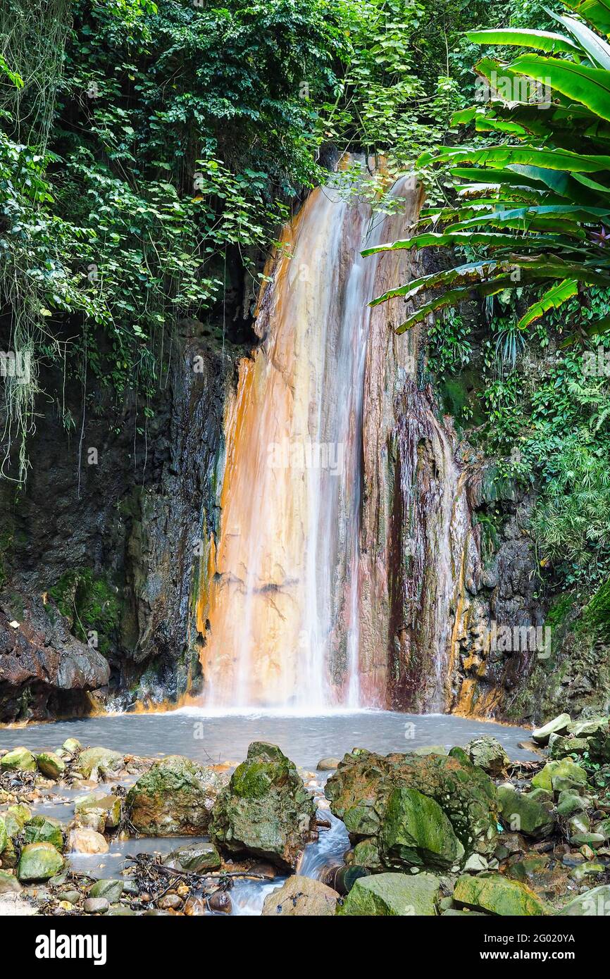 Diamond Waterfall in St. Lucia Botanical Gardens, Saint Lucia, Karibische Inseln, kleine Antillen, Westindische Inseln Stockfoto