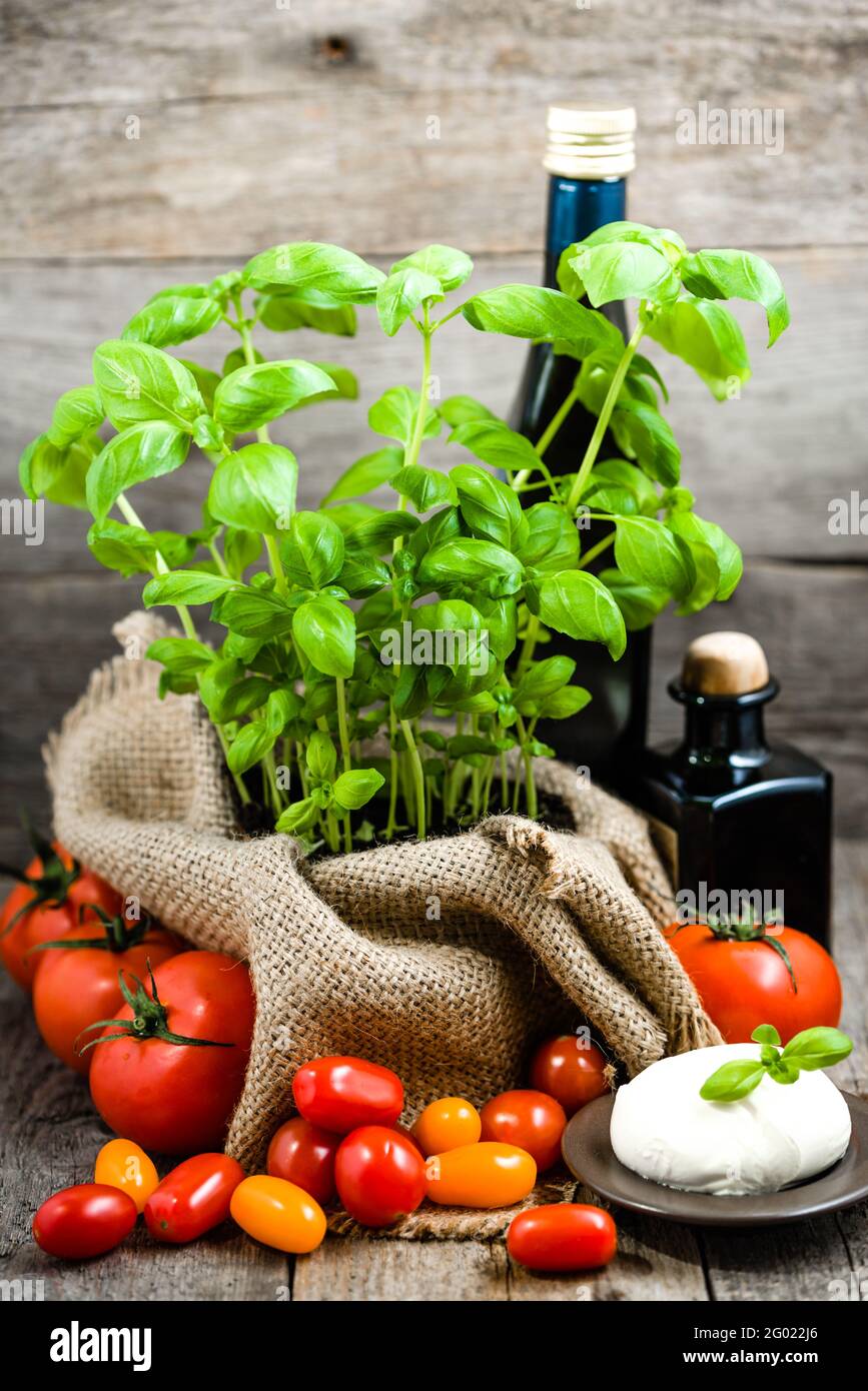 Italienische Küche Zutaten für gesundes Essen, Mozzarella, Tomaten und frisches Basilikum, grüne Kräuter in der Küche Stockfoto