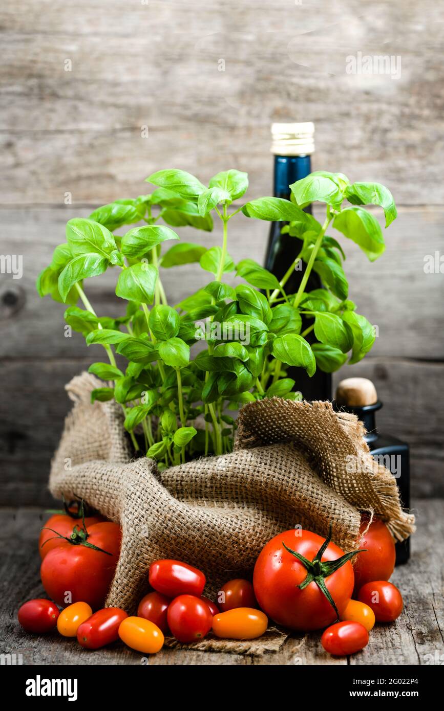 Italienische Lebensmittel Kochen Zutaten, frische Kräuter, Basilikumblätter und Tomaten, gesunde Ernährung, Gewichtsverlust Konzept Stockfoto
