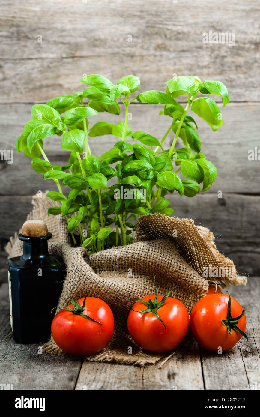 Italienische Küche Zutaten, Tomaten und frisches Basilikum, grüne Kräuter in der Küche Stockfoto