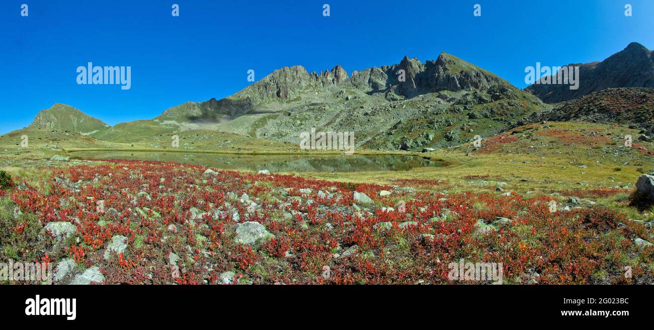 FRANKREICH, ALPES-MARITIMES, PARC NATIONAL DU MERCATOUR,PRALS SEEN 2275 M Stockfoto