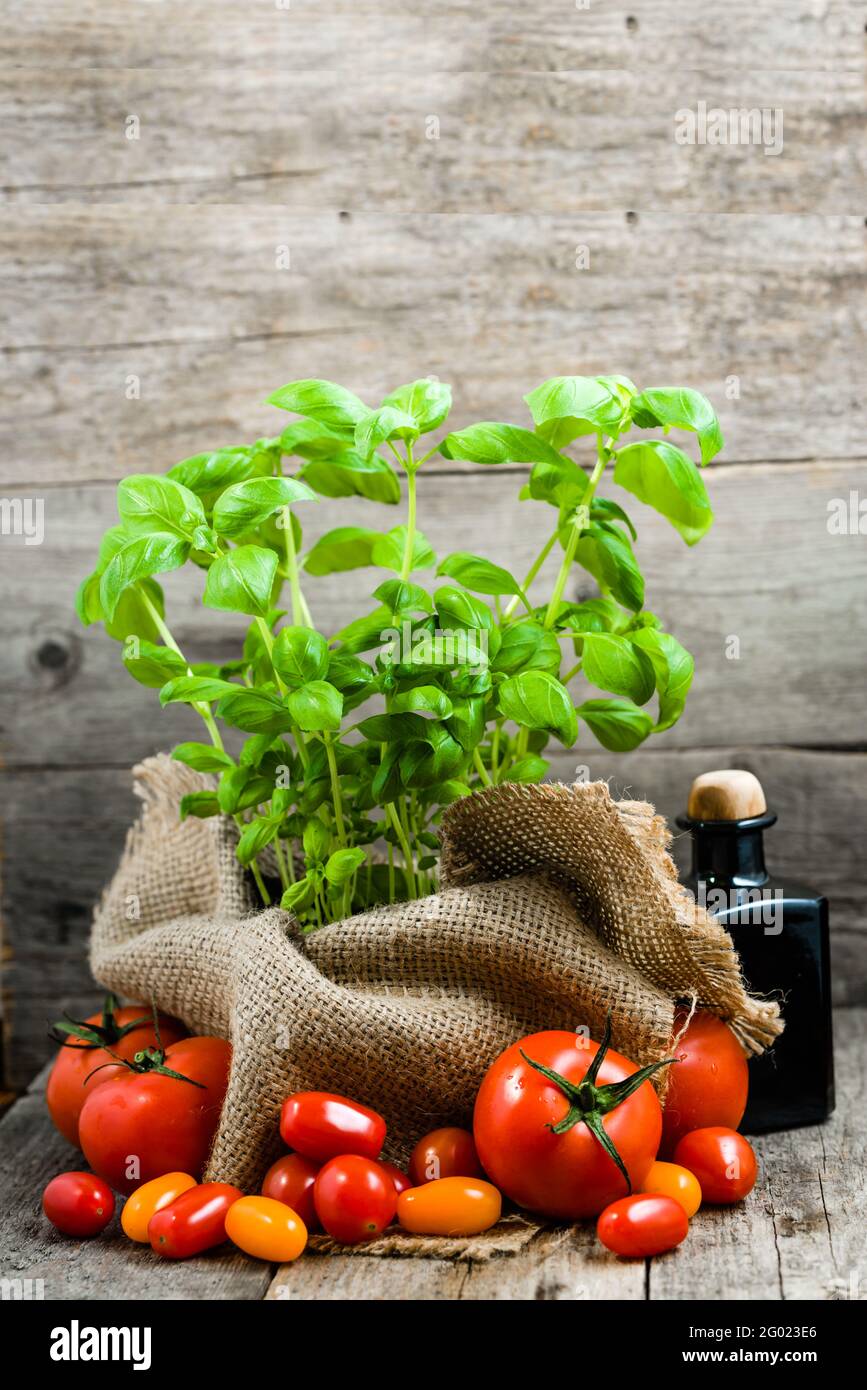 Gemüse und Gewürze. Frisches Basilikum und Tomaten, italienische Küche, Kochzutaten Stockfoto