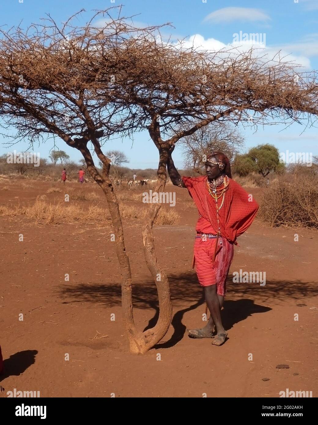 Kenia Afrika Masai Krieger Stockfoto