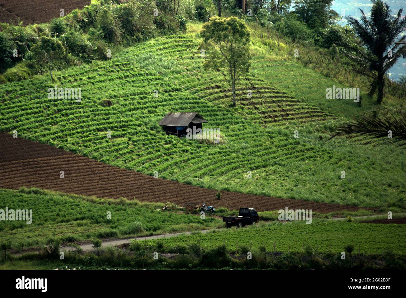 Landwirtschaftliche Nutzflächen in Minahasa, Nord-Sulawesi, Indonesien. Stockfoto