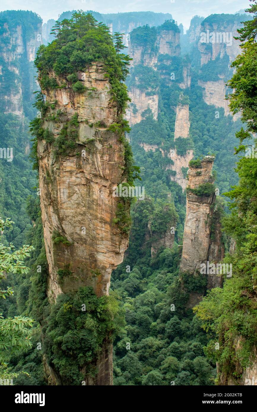 Avatar Hallelujah, Yuanjiajie Scenic Area, Wulingyuan Stockfoto