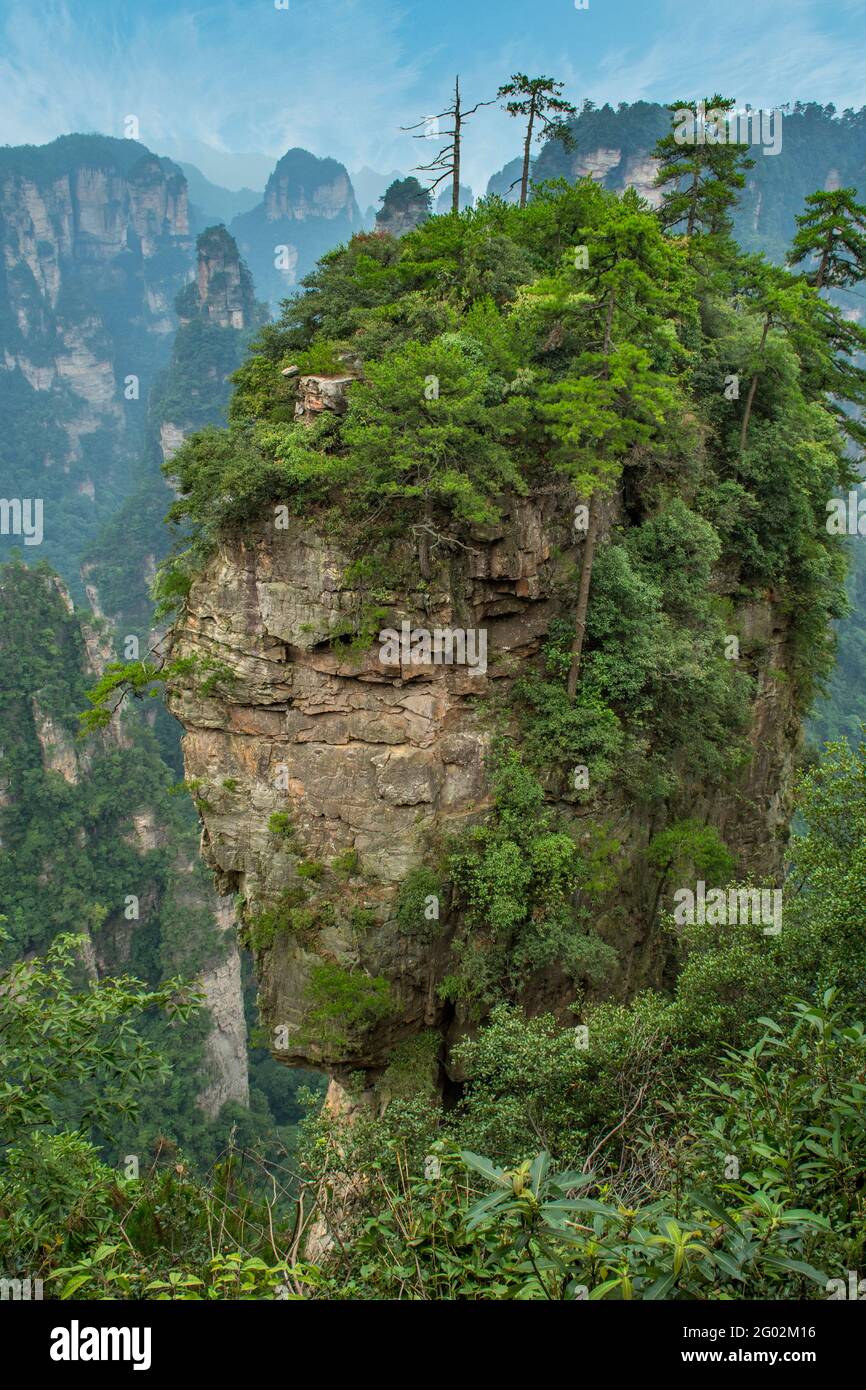 Avatar Hallelujah, Yuanjiajie Scenic Area, Wulingyuan Stockfoto