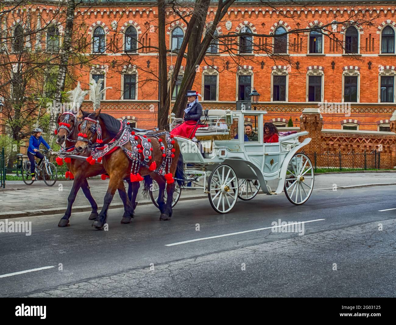 Krakau, Polen, - Apr 2017: Weiße Pferdekutsche mit Pferden in Krakau, Europa. Stockfoto