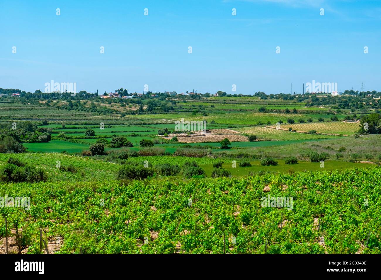 Blick auf die Weinberge von La Argilaga, einem kleinen Bauerndorf in der Provinz Tarragona in Katalonien, Spanien Stockfoto