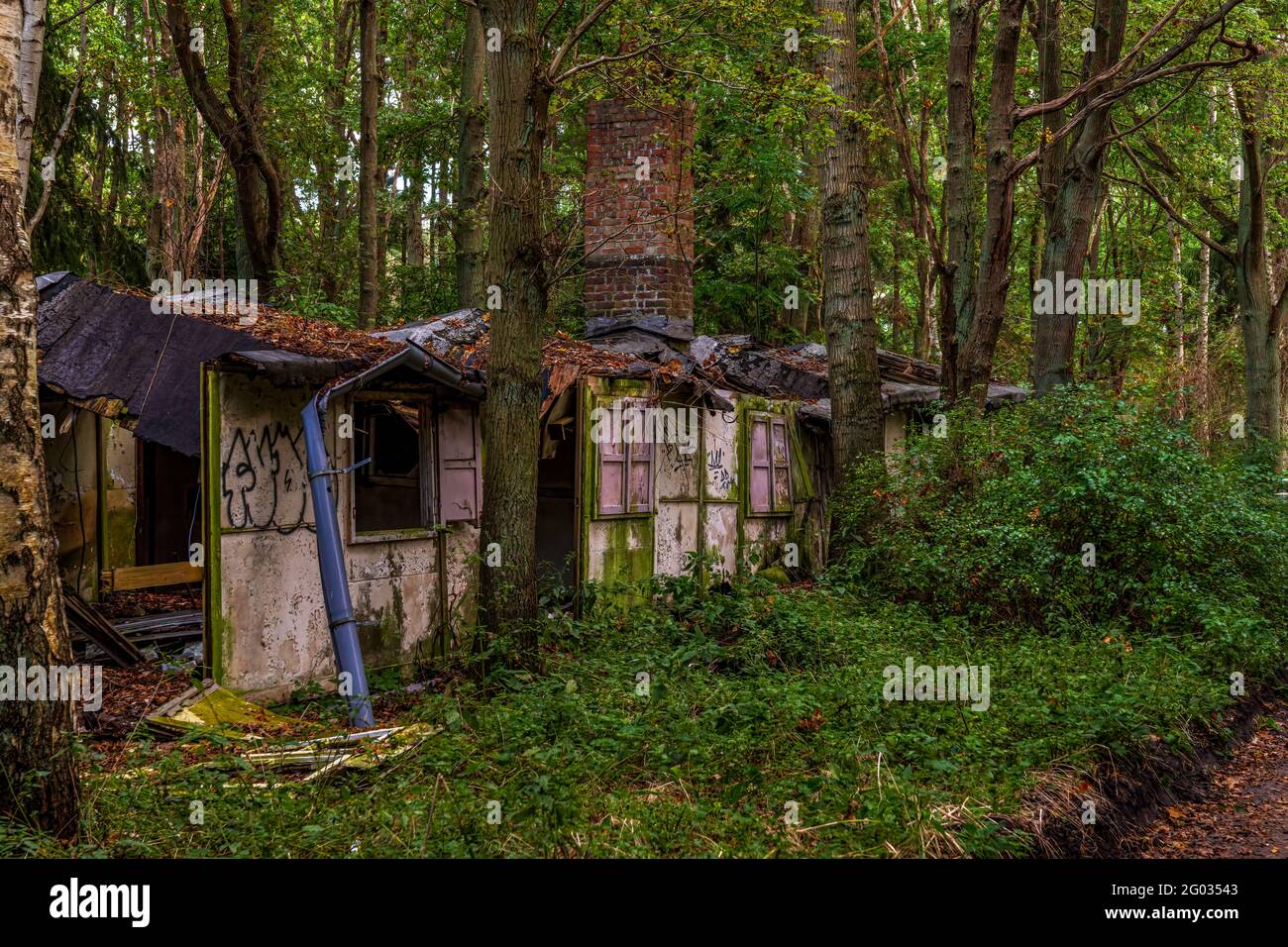 Bakenberg, Mecklenburg-Vorpommern, Deutschland - 12. Oktober 2020: Ruinen eines Feriendorfes der ehemaligen DDR Stockfoto