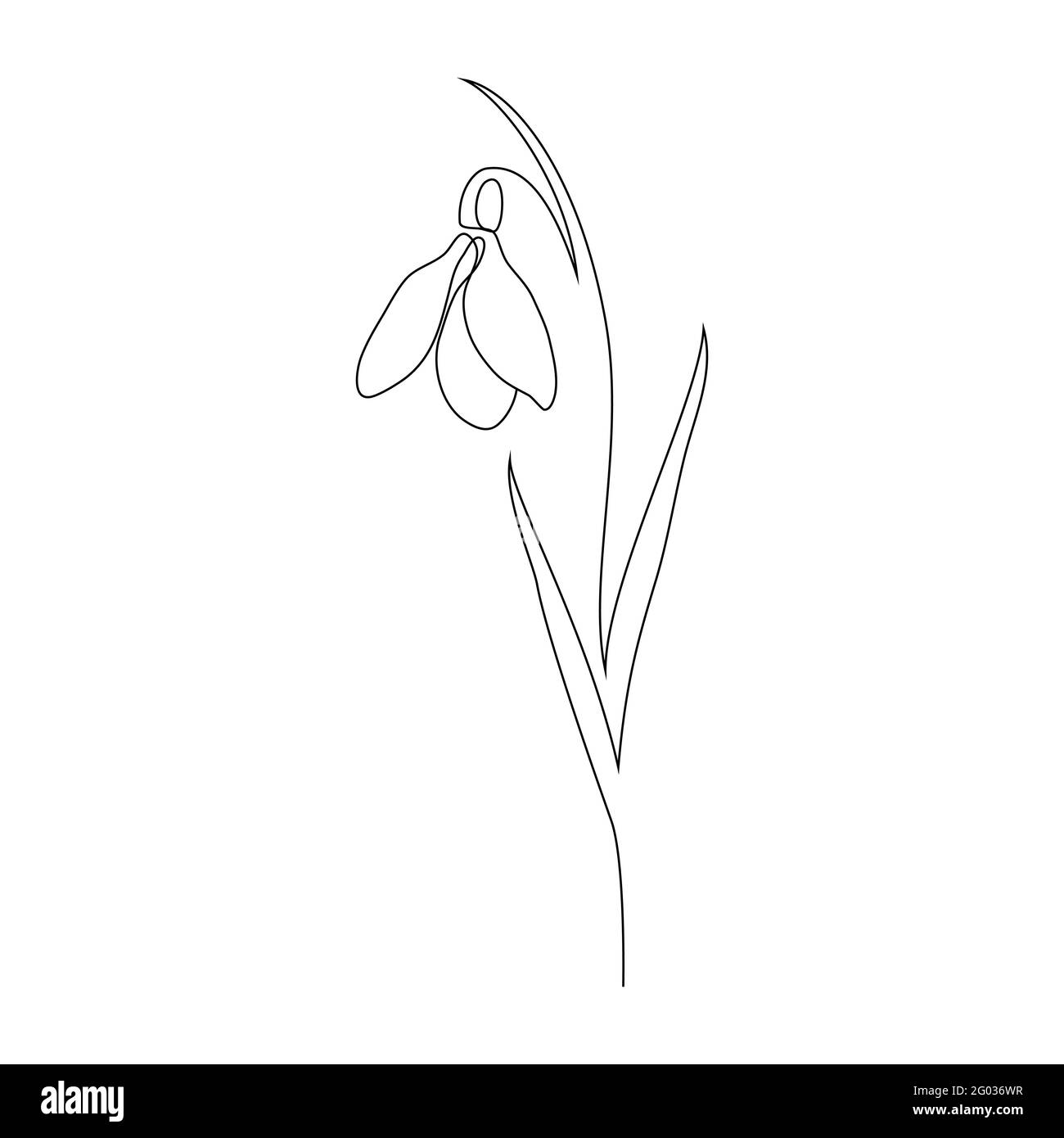 Schneeglöckchen Blume im Line-Art-Stil. Stock Vektor