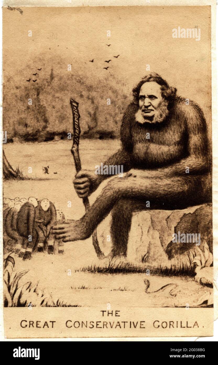 Die Karikatur des britischen Staatsmanns und Befürworters des Freihandels, John Bright (1811 - 1889), beschriftete „der große konservative Gorilla“, 1860. Stockfoto