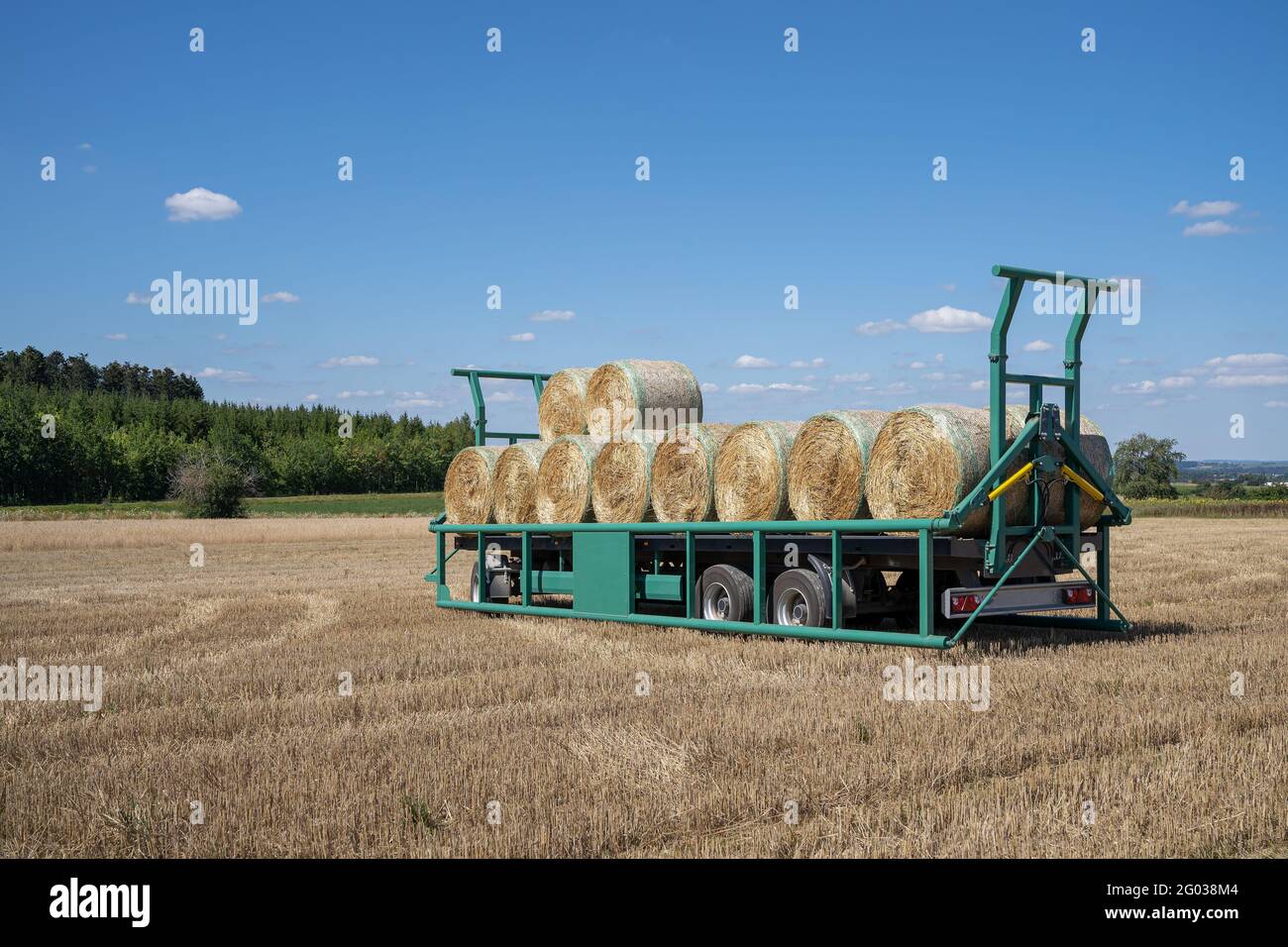 Großer moderner Anhänger mit geladenen Strohballen auf einem Stoppelfeld Stockfoto
