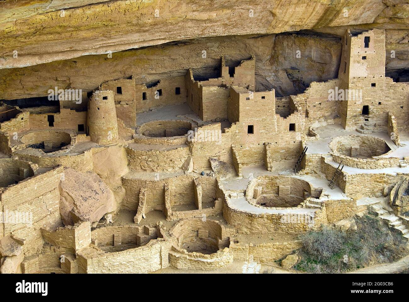 Cliff Palace, Mesa Verde Nationalpark, Colorado Stockfoto