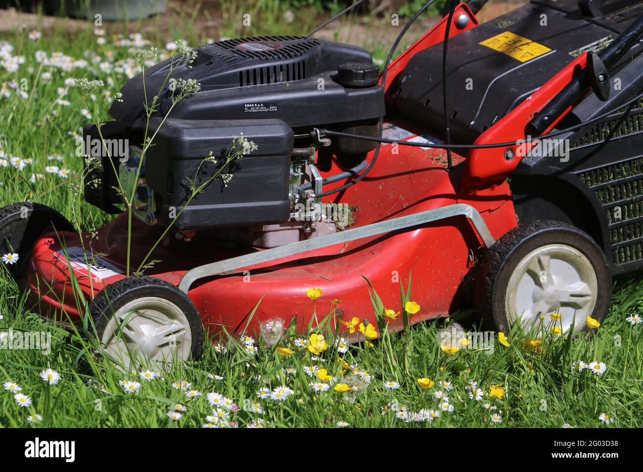 UK Wetter: Brandsby North Yorkshire, UK, 31. Mai 2021. Kein Mähen Mai in Gärten rund um Großbritannien als Teil der Klimakampagne. Kredit: Matt Pennington/Alamy Live Nachrichten Stockfoto