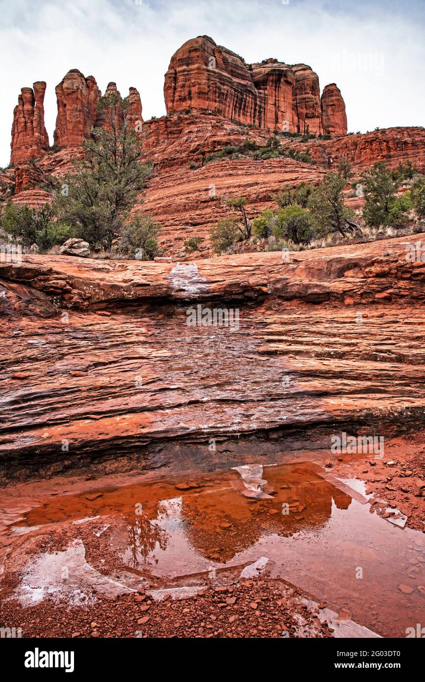 Cathedral Rock, Reflection in Water, Sedona, Arizona Stockfoto