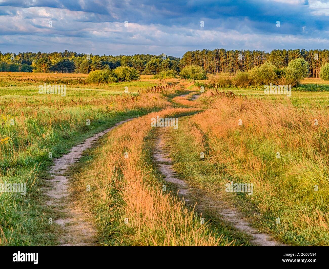 Eine Landstraße im Frühling. Podlachien. Podlachia. Polen, Europa. Die Region wird als Podlasko