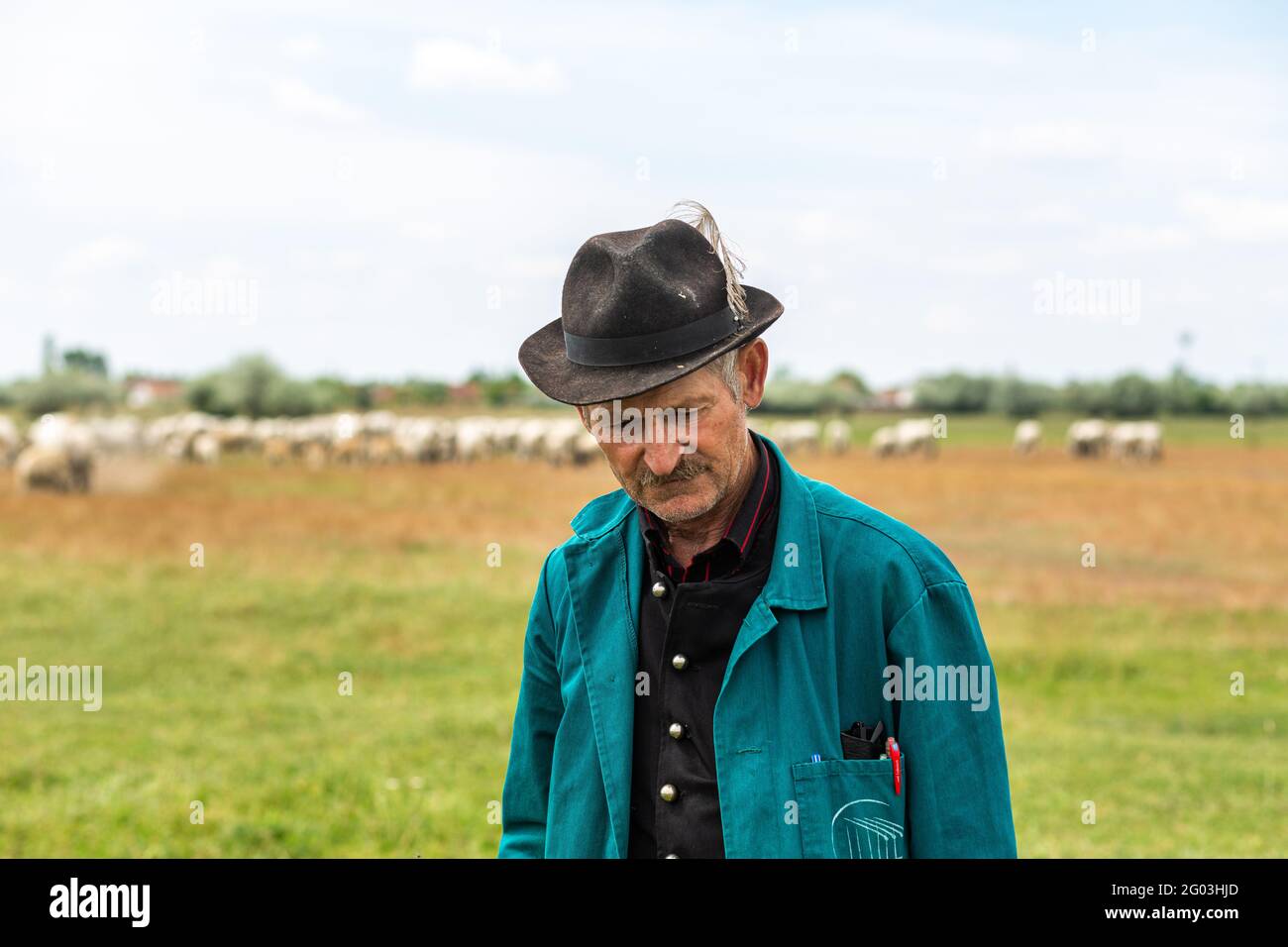 Portrait eines traditionellen Grauvieh-Hirtenhirten aus dem ländlichen Raum Ungarn Stockfoto